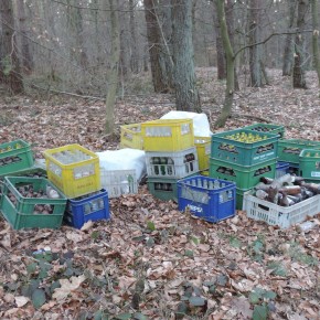 Kto podrzuca śmieci ?