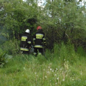 Paliły się śmieci w Mojszewie. Interweniowali strażacy.