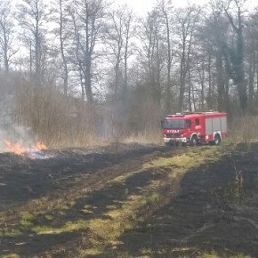 Niefrasobliwość przyczyną pożaru