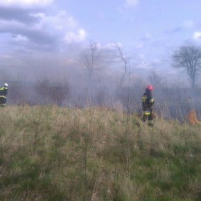 Podpalenia nieużytków