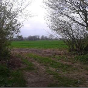 JEDNI SPRZĄTAJĄ, INNI ŚMIECĄ