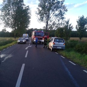 FRUWAJĄCE PERGOLE PRZYCZYNĄ WYPADKU