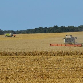 JAKIE MAMY GOSPODARSTWA ROLNE?