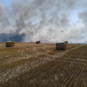 POŻAR POLA I LASU W PAPROTNIE!