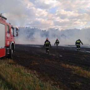 PRACOWITY PONIEDZIAŁEK STRAŻAKÓW