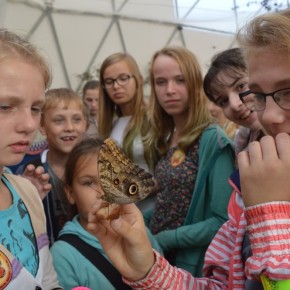 WYCIECZKA KOLEJĄ WĄSKOTOROWĄ NA ZAKOŃCZENIE LATA