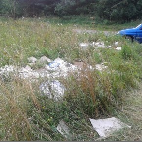 Naśmiecili i posprzątali