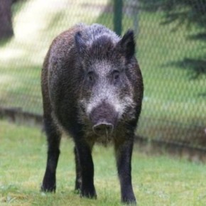 SOŁTYS OSZACUJE STRATY ?
