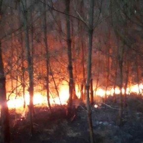 Fałszywe alarmy i podpalenia – ktoś się (nie)dobrze bawi