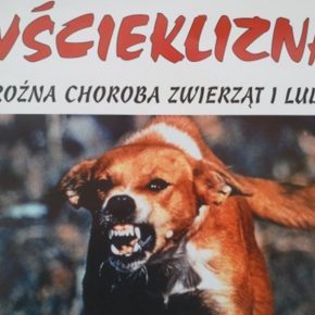 SZCZEPIENIA PRZECIW WŚCIEKLIŹNIE