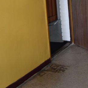 DRZWI OBLANE ŚRODKIEM DO ODSTRASZANIA ZWIERZĄT