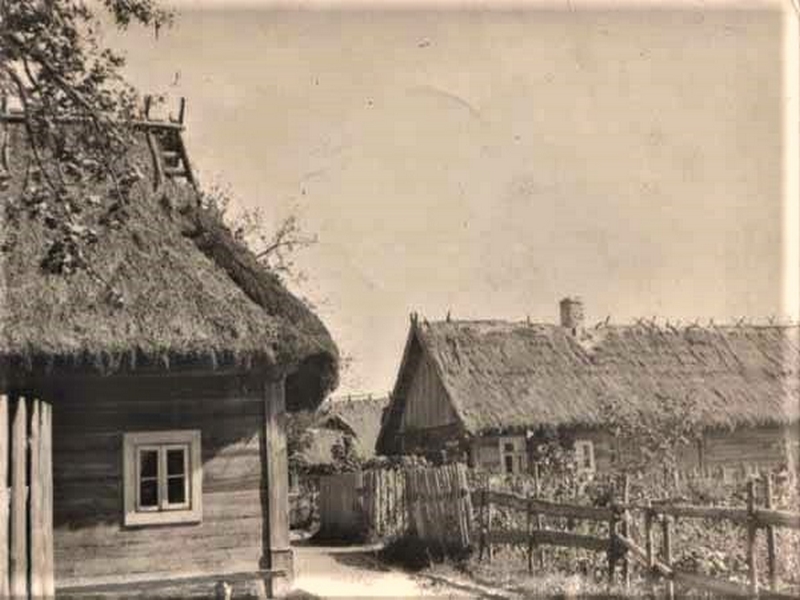 36910229_419360685226330_9200257265897046016_n