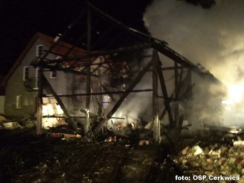 40070521_2131138283624629_3219714244807229440_n