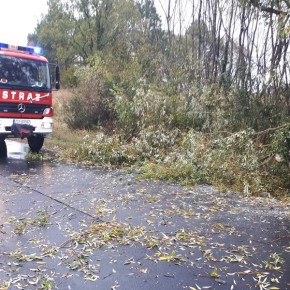 STRAŻACY USUWALI POWALONE DRZEWA I KONARY