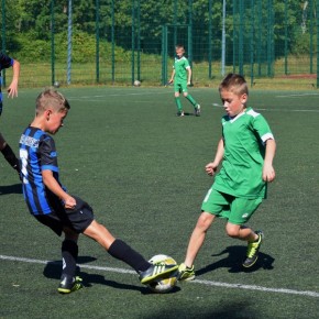 ORLIKI BIZONA W GRZE