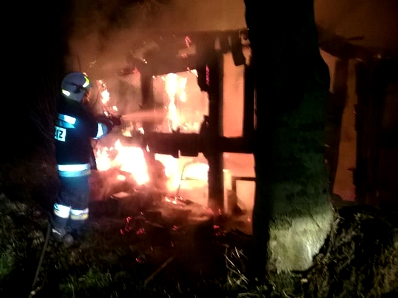 48388311_2151227678271813_2259682594796863488_n