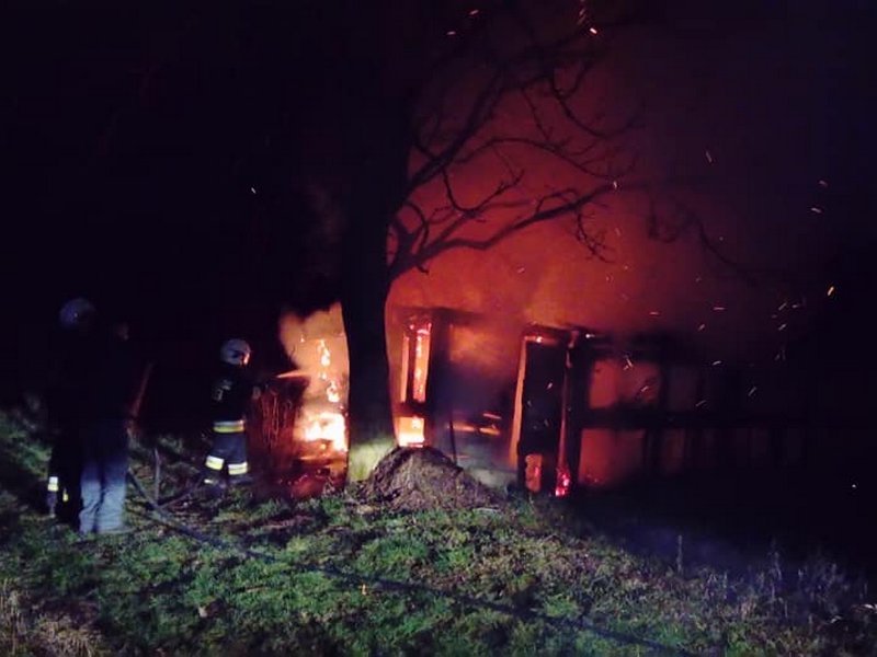 48422164_2151227488271832_6730775109352554496_n