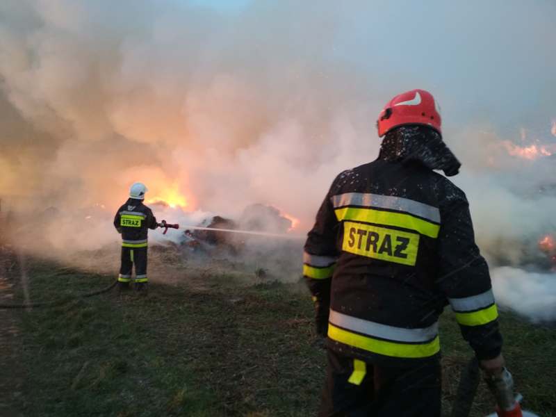 49439917_2169505629767533_1858326804452868096_n