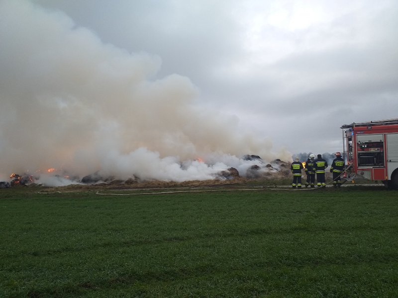 49621877_2512486638778385_3083033417487482880_o