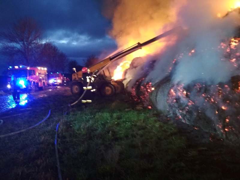 49853268_562957464173520_2218761881567363072_n