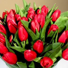 Świat bez kobiet byłby jak ogród bez kwiatów