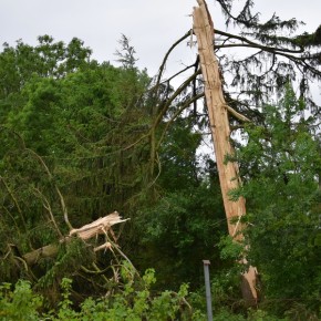 GROŹNE UDERZENIE PIORUNA W TRZESZYNIE
