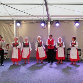 CZERWONA ROŻA W JANOWIE