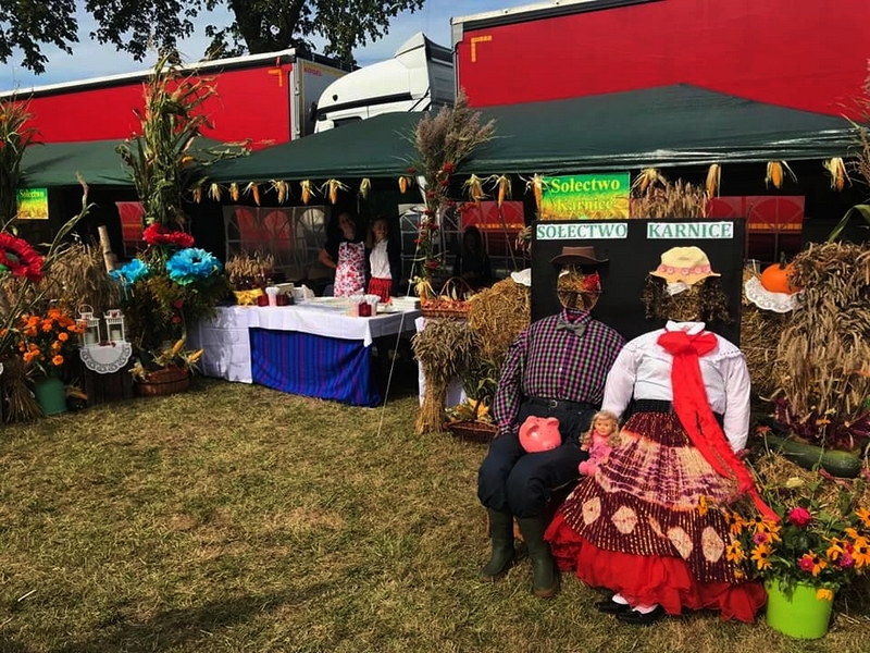 70390281_125809165446239_7389055199098175488_n