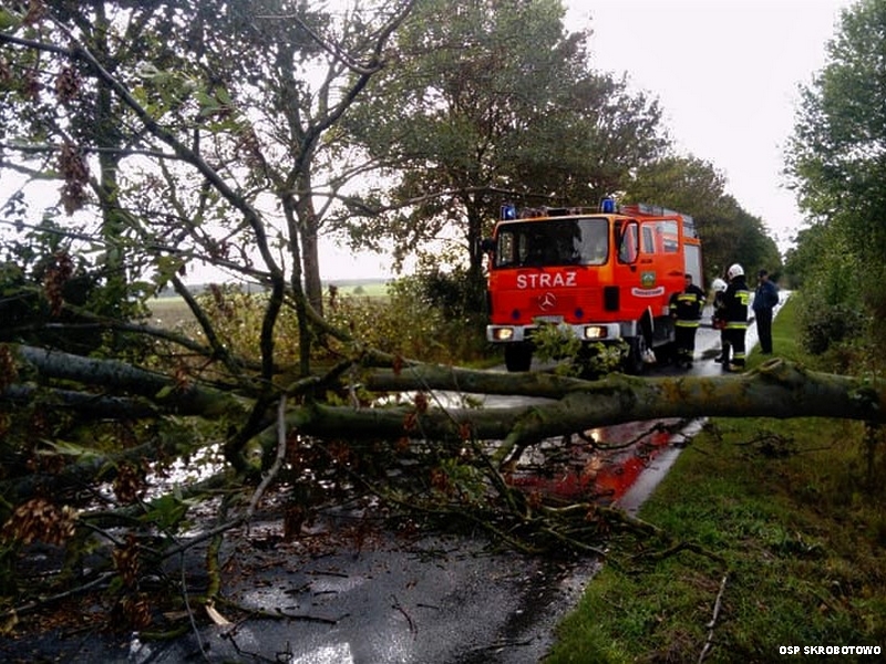 70684500_2604448932949683_6927211245430898688_n