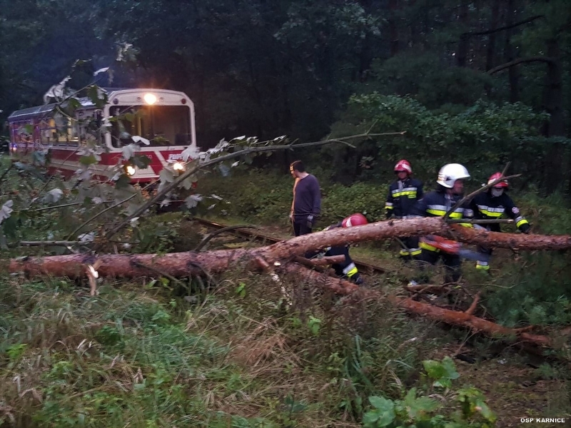 71017308_2968071089886602_7715649301174550528_o