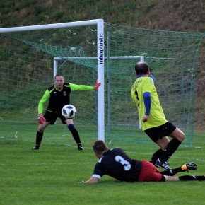 PIERWSZE KOTY ZA PŁOTY PIERWSZE KOTY ZA PŁOTY