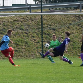 JANTAR ZA SILNY DLA BIZONA JANTAR ZA SILNY DLA BIZONA