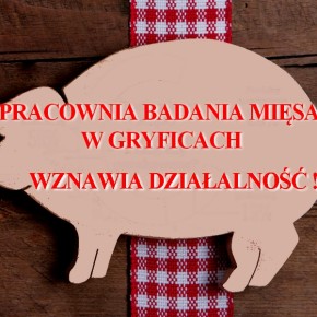 Laboratorium badania mięsa w Gryficach wznawia działalność