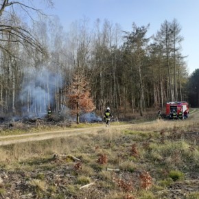 POŻAR ŚCIÓŁKI LEŚNEJ. PRACOWITA NIEDZIELA STRAŻAKÓW.