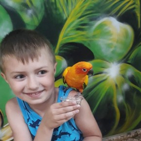 MAŁY IGOR POTRZEBUJE POMOCY