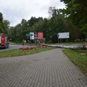 STRAŻACY USUWAJĄ POWALONE DRZEWA