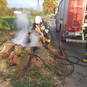 PALIŁ SIĘ PIEŃ DRZEWA W KONARZEWIE