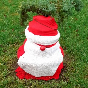 MIKOŁAJE OZDOBIŁY CZAPLIN WIELKI