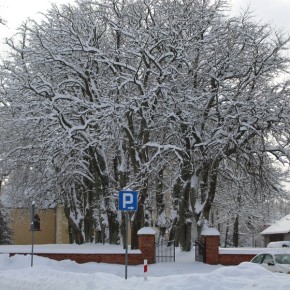 ZIMA ZOSTANIE Z NAMI NA DŁUŻEJ