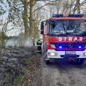 PODPALENIE POBOCZA DROGI W NICZONOWIE