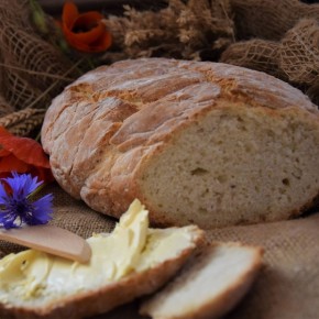 ZAPREZENTUJ SIĘ PODCZAS FESTIWALU SMAKÓW I RĘKODZIEŁA