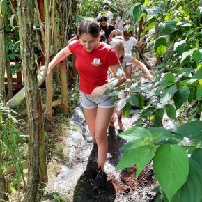 W PARKU ROZRYWKI MANDRAGORA