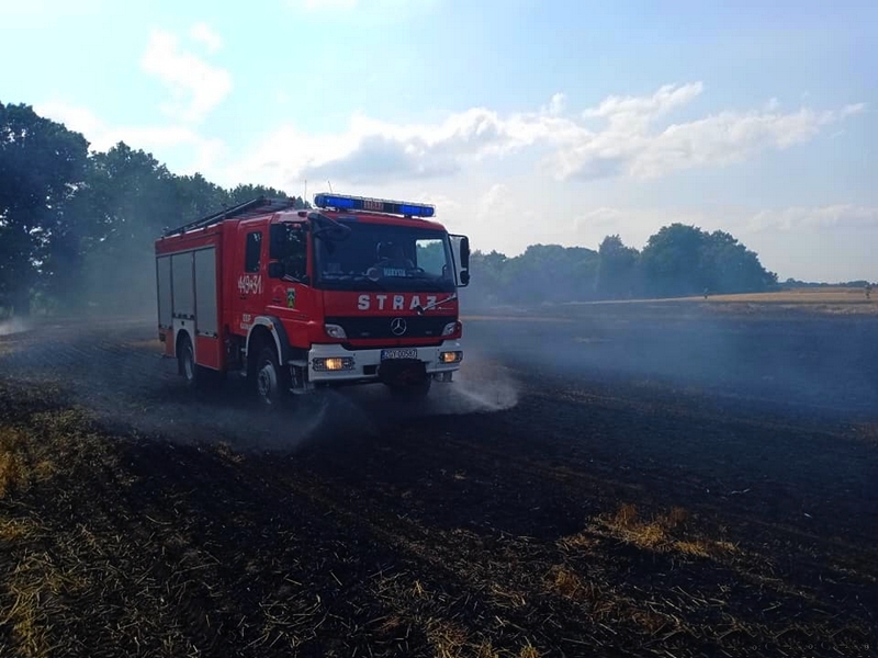 215435820_114454030903589_4738460774359122095_n