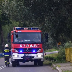 STRAŻACY USUWALI GAŁĘZIE