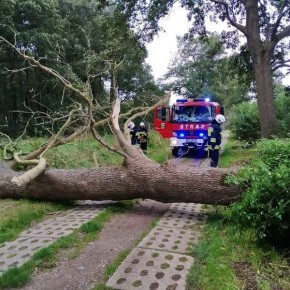STRAŻACY USUWALI SKUTKI SILNEGO WIATRU