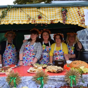 SOŁECTWA NA DOŻYNKACH: DREŻEWO SOŁECTWA NA DOŻYNKACH: DREŻEWO