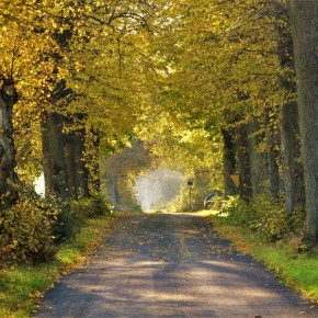 GMINA KARNICE W JESIENNYCH BARWACH