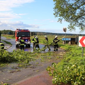 STRAŻACY USUWALI SKUTKI WICHURY