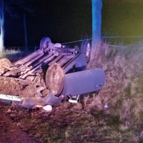 DACHOWANIE KOŁO WITOMIERZA