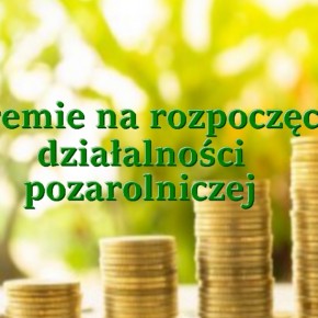 PREMIE NA DZIAŁALNOŚĆ POZAROLNICZĄ